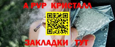 СК Пугачёв