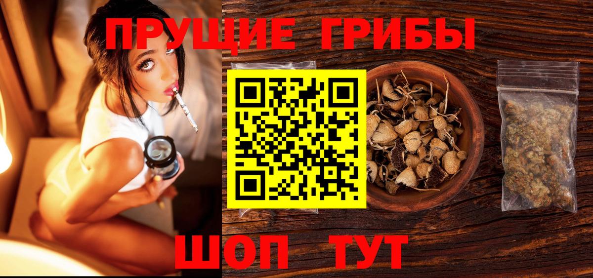 Ставрополь  Галлюциногенные грибы Magic Shrooms  Псилоцибиновые грибы Psilocybe  Вход с VPN 